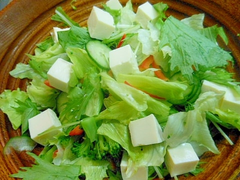 たっぷり生野菜と塩豆腐のサラダ
